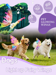 AIANR ailes-chien-noel-lumineuses parfaites pour photos festives