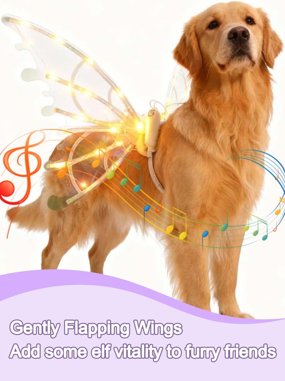 AIANR ailes-del-chien-eclat pour parades nocturnes