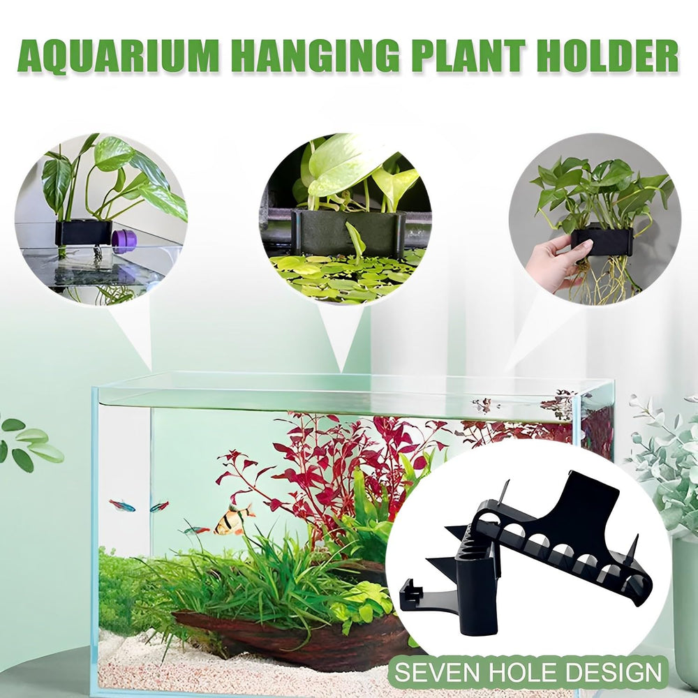 Aidmi décoration aquarium pour un paysage luxuriant sans encombrer l’espace.