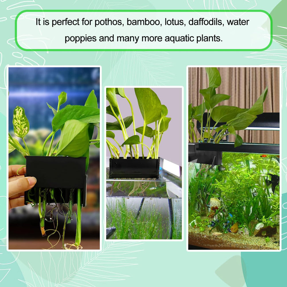 Aidmi paysage aquatique avec plantes vertes, décoration naturelle et équilibrée.