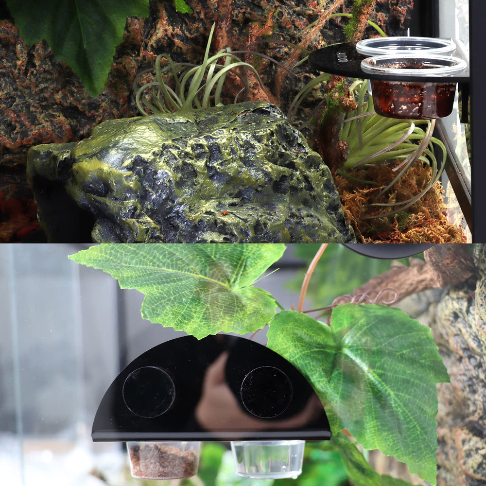 Aiicioo Gecko Feeder Ledge, design stable et pratique pour l'alimentation