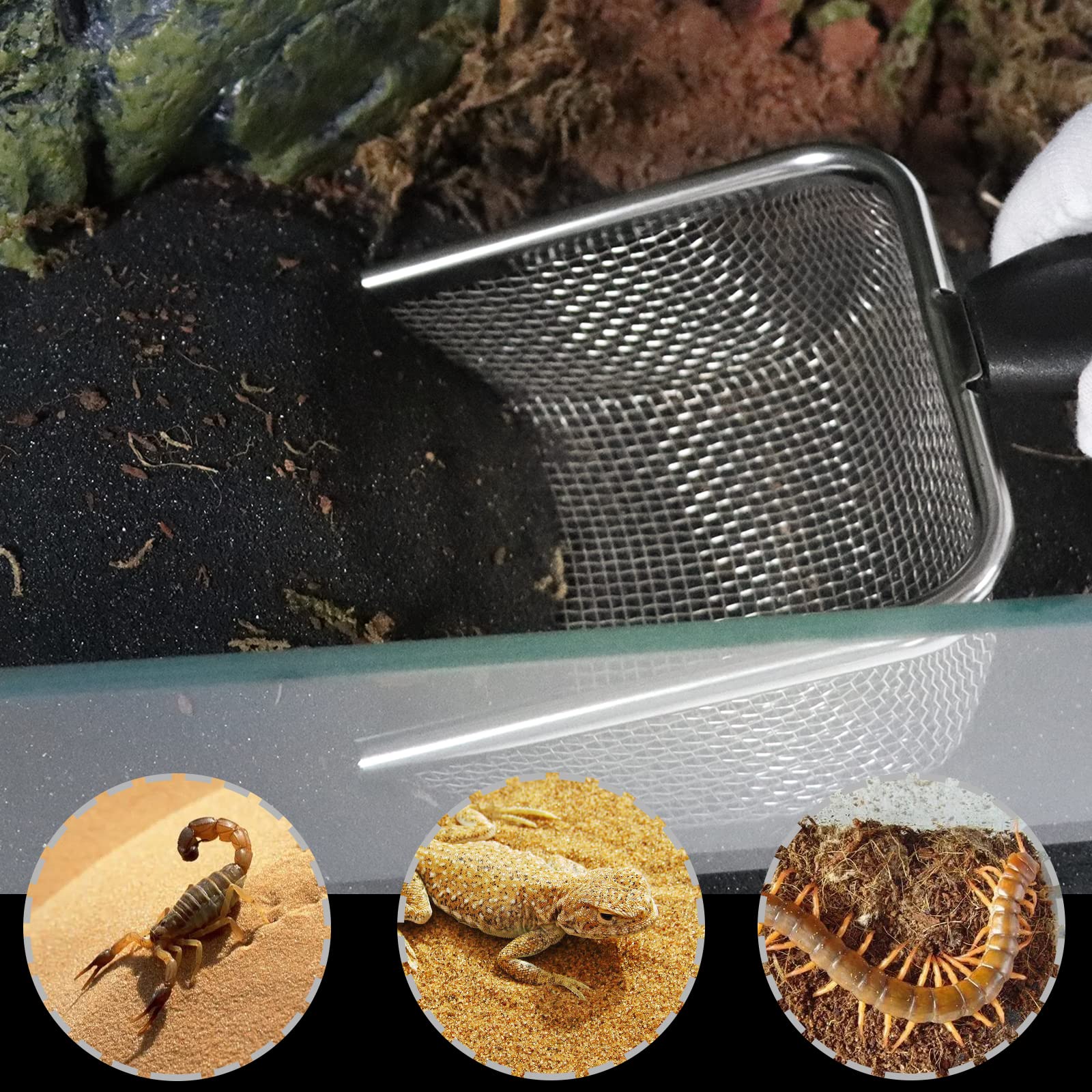 Utilisations variées Aiicioo pour substrats et litières dans les habitats d’animaux.