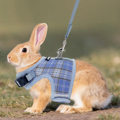 AIITLE gilet petit animal carreaux bleu, fermeture Velcro sécurisée.
