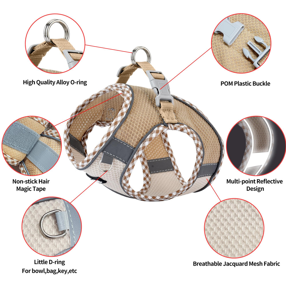Aiitle harnais petit chien ensemble laisse 1,5 m pour promenades