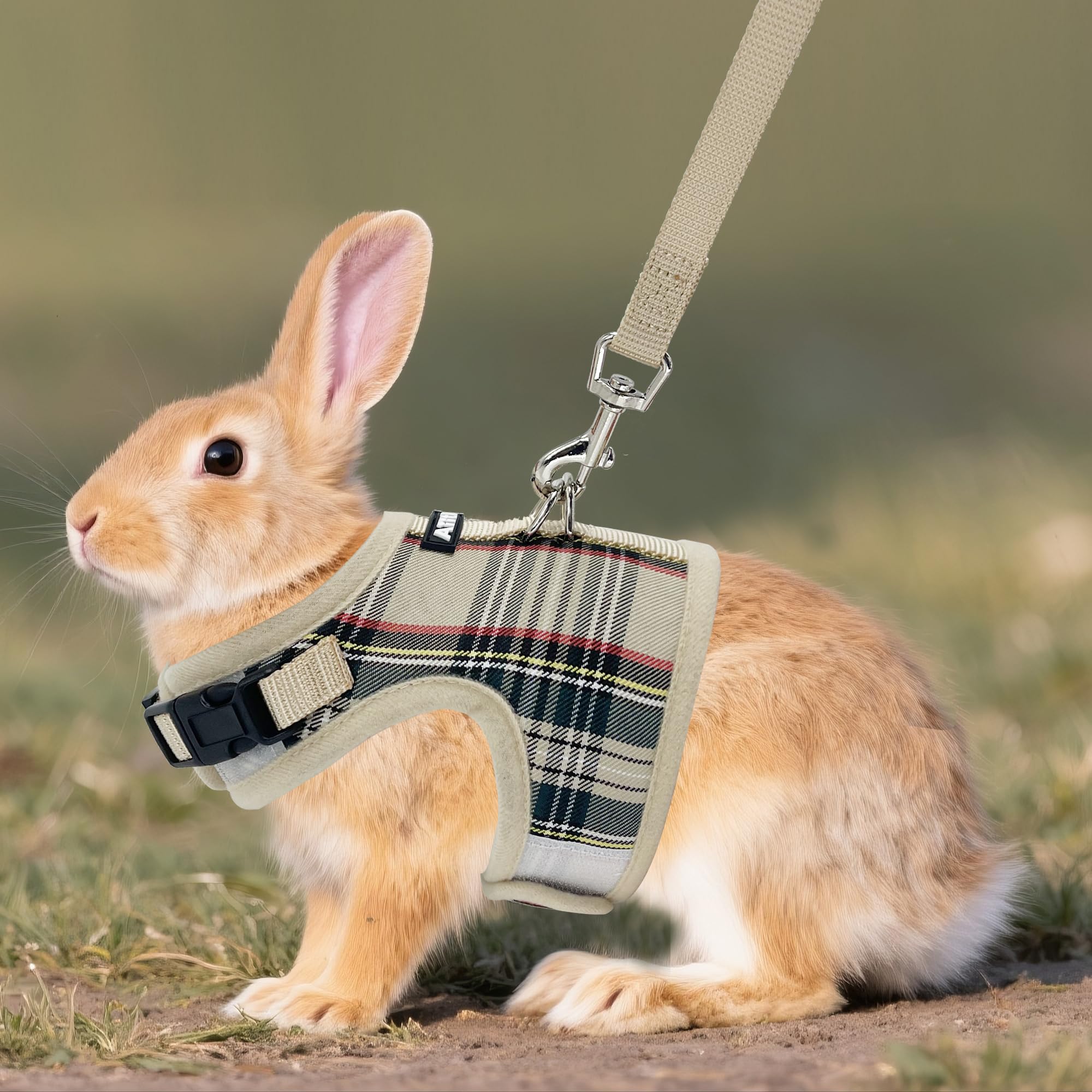 Laisse Aiitle respirante pour lapin, idéale pour les promenades sans contrainte.