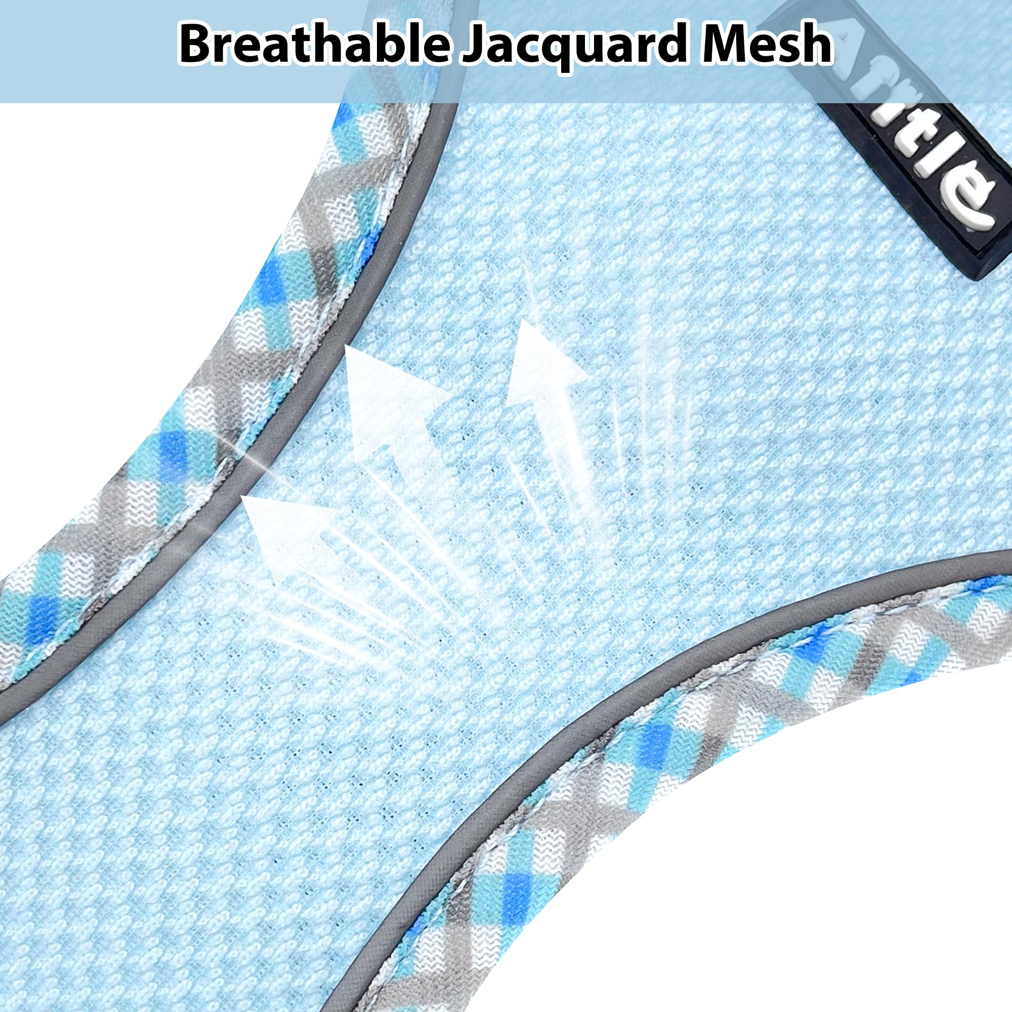 Laisse Aiitle Teacup bleu de 5 ft, assortie au harnais.