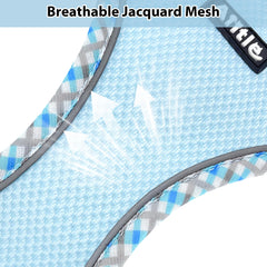 Laisse Aiitle Teacup bleu de 5 ft, assortie au harnais.