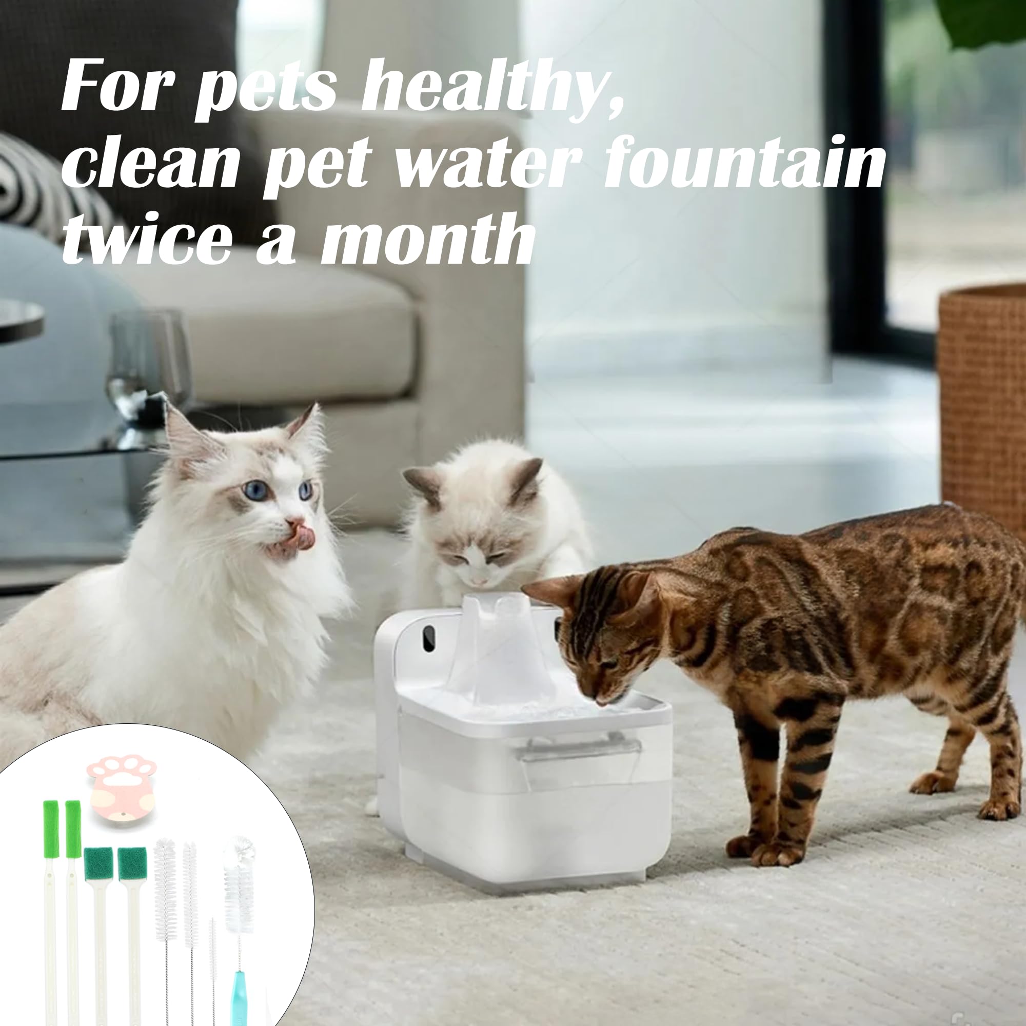 AIMAOGOU ensemble hygiène fontaine, eau propre et fraîche pour vos animaux.