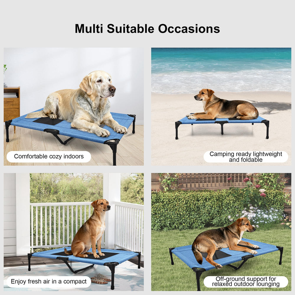 Aimease lit chien bleu avec design moderne et visible