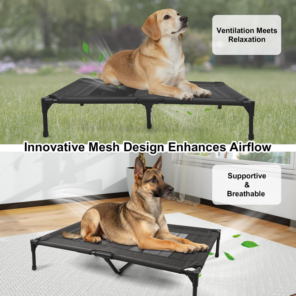 Aimease lit chien surélevé assemblage rapide et sans outil