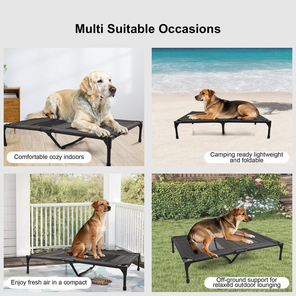 Aimease lit chien surélevé bleu option, visibilité et style pour petites races
