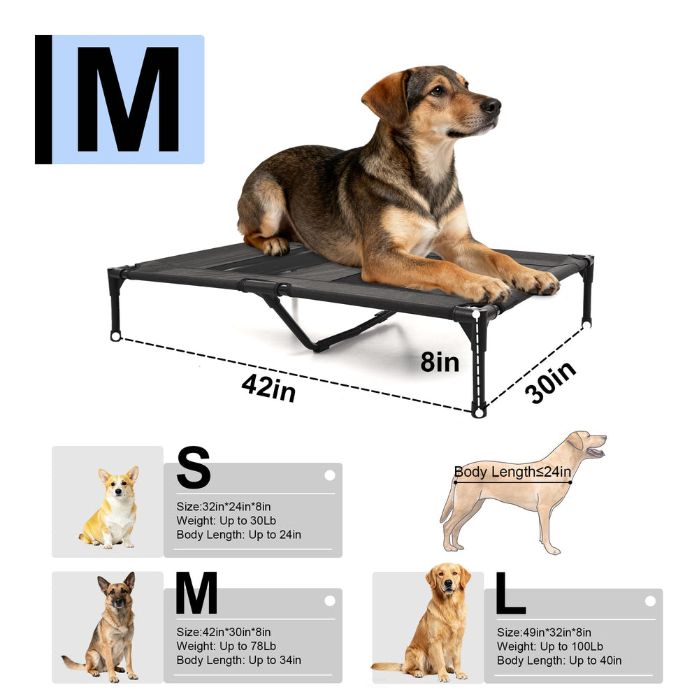 Aimease lit chien surélevé tailles disponibles petit moyen XL