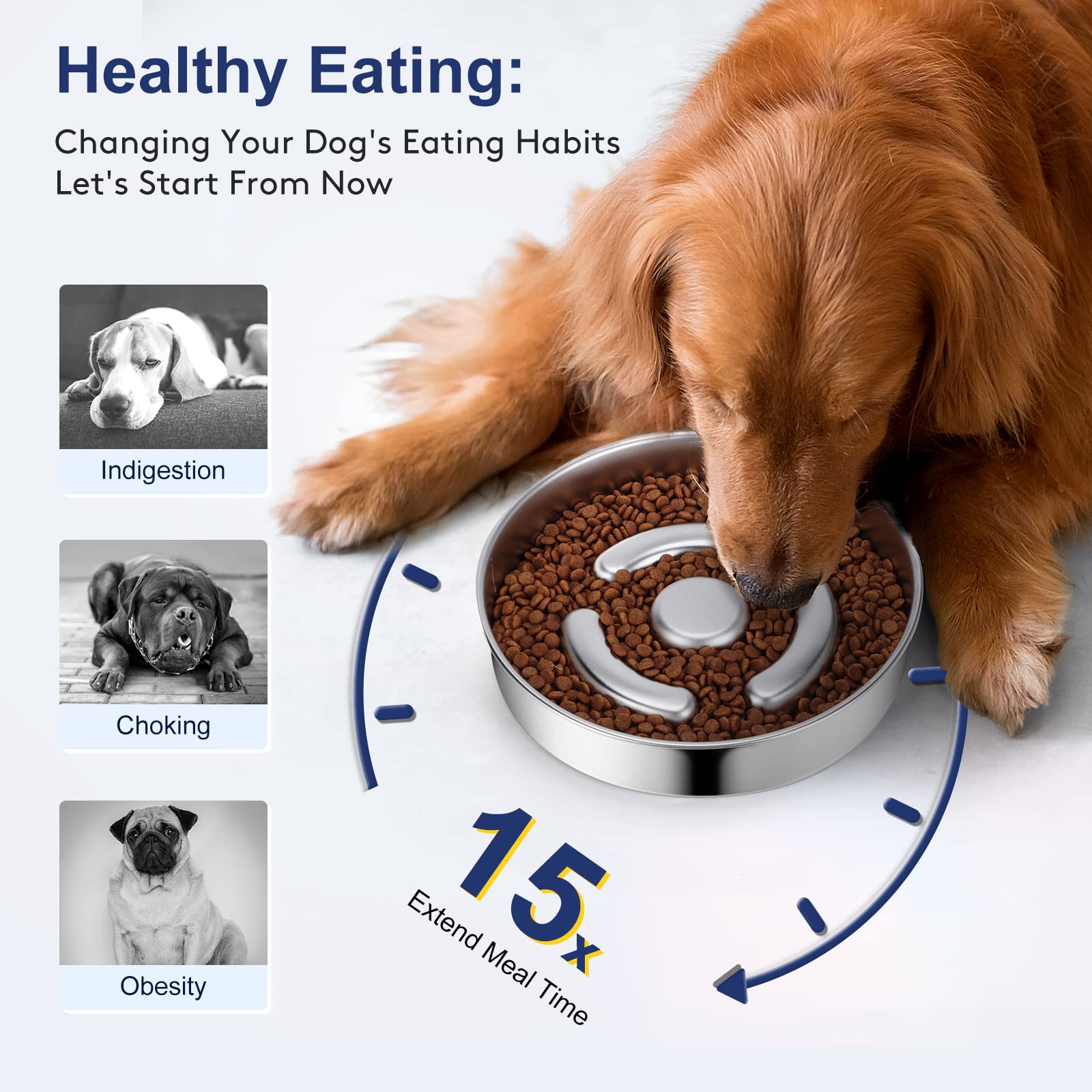 Barrières internes douces AIPERRO ralentissent l’ingestion.