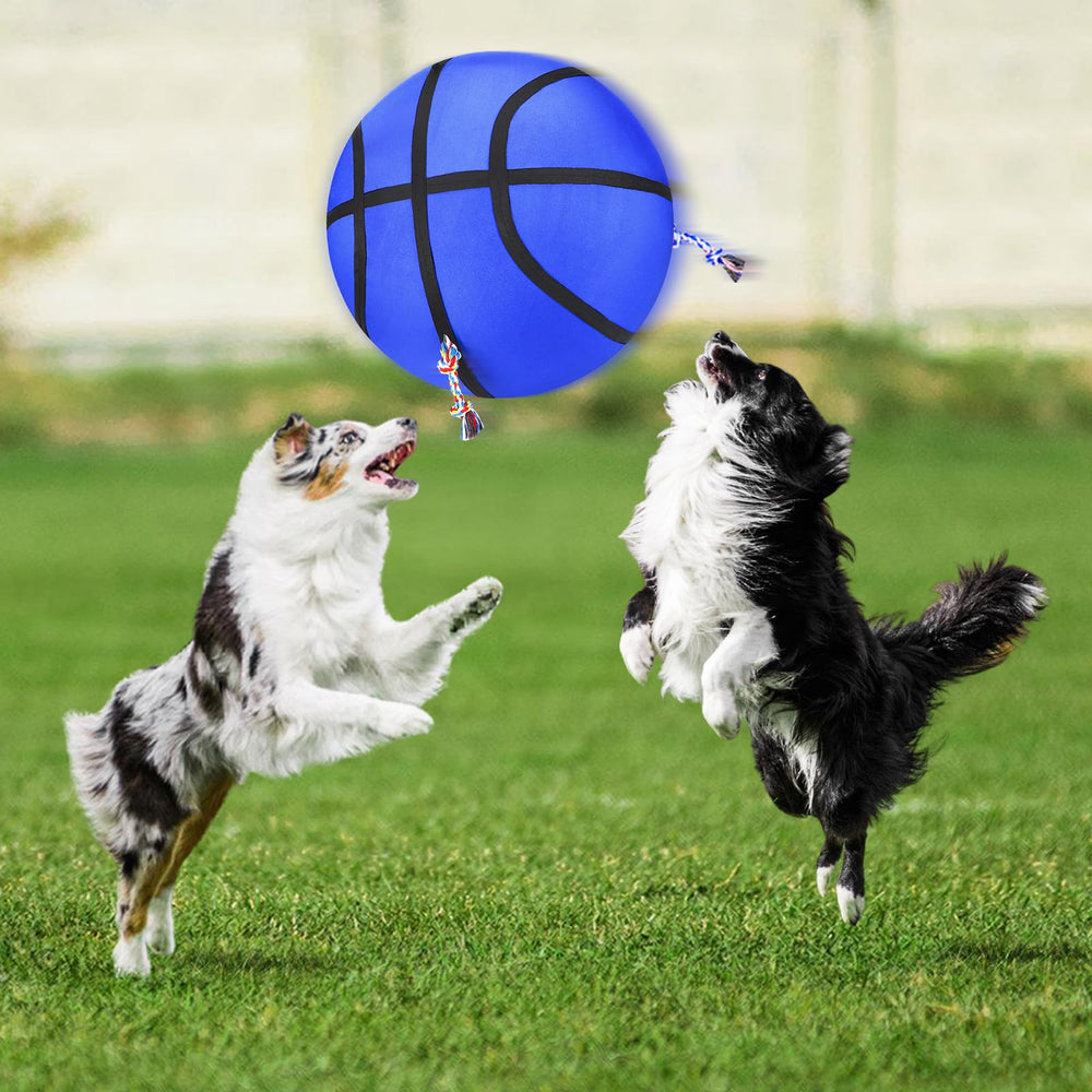 Idéal cadeau pour chien actif et joueurs en extérieur