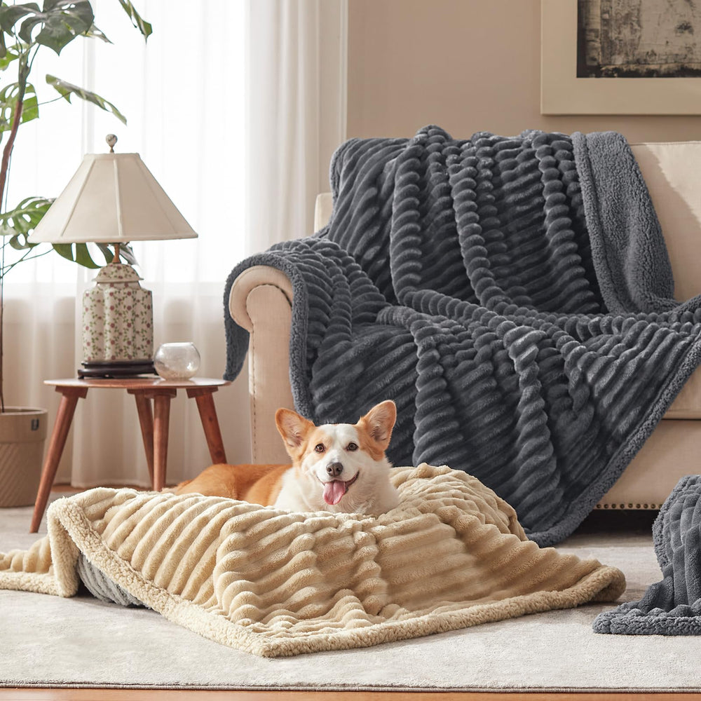 AIPERRO: confort et chaleur pour votre compagnon à quatre pattes.