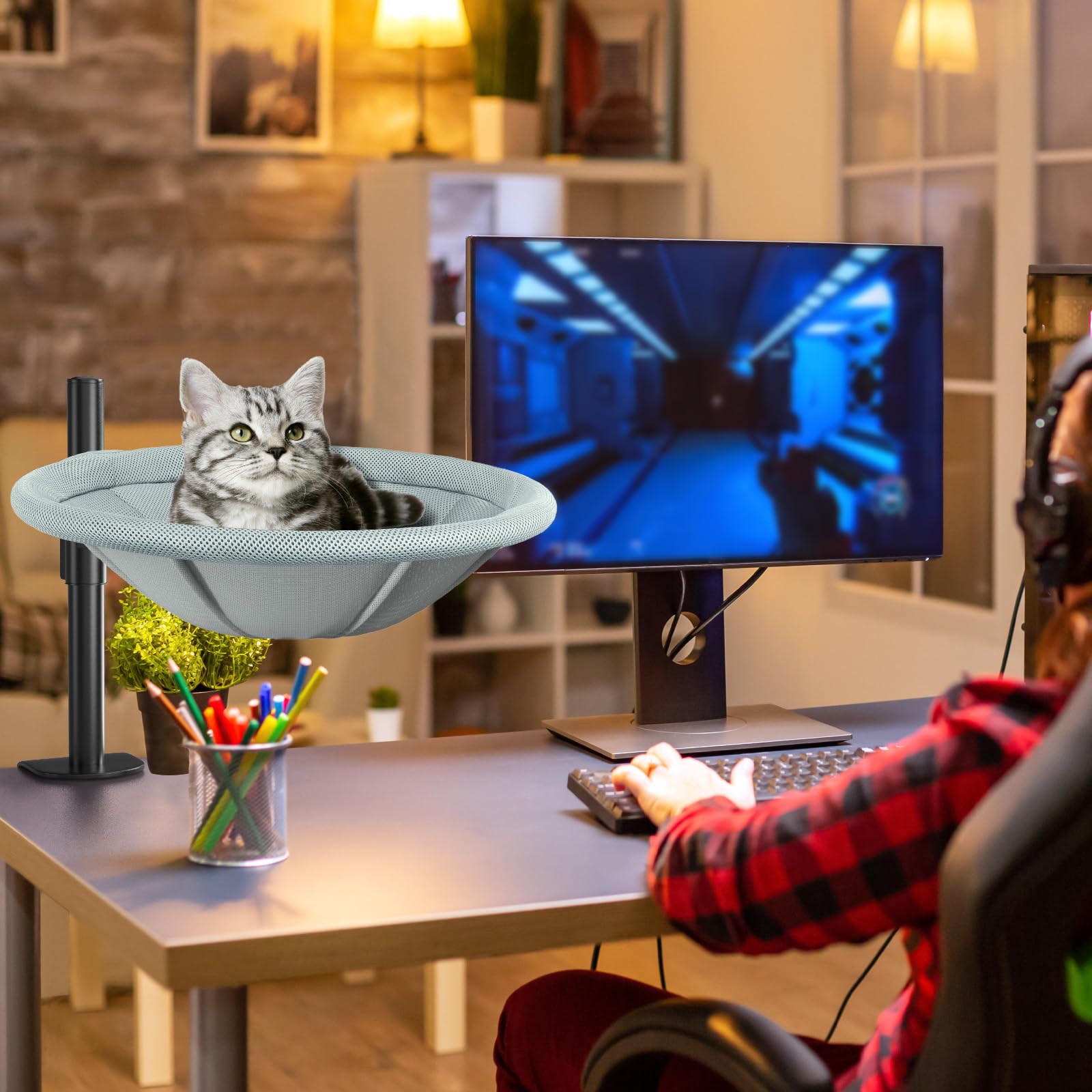 AIPERRO utilisation quotidienne, chat près de votre bureau.