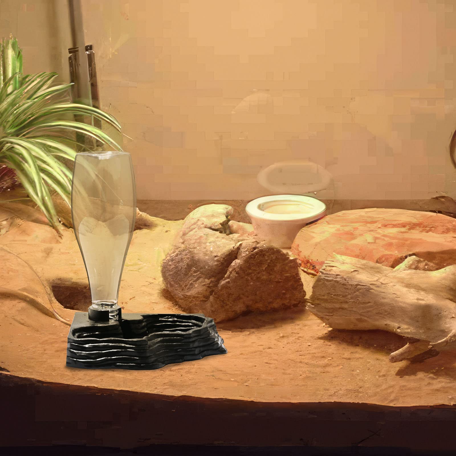 Aipush accessoire terrarium eau polyvalent pour dragons barbus et geckos.