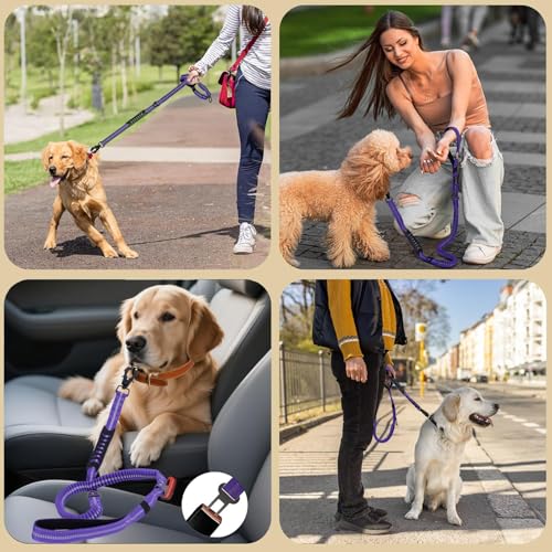 AIRUIDOG Laisse Boucle Ceinture Sécurité : pratique lors des trajets en voiture.