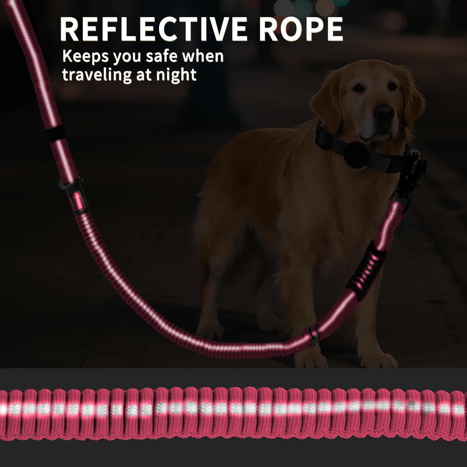AIRUIDOG laisse chien robuste adaptée aux chiens moyens et grands.