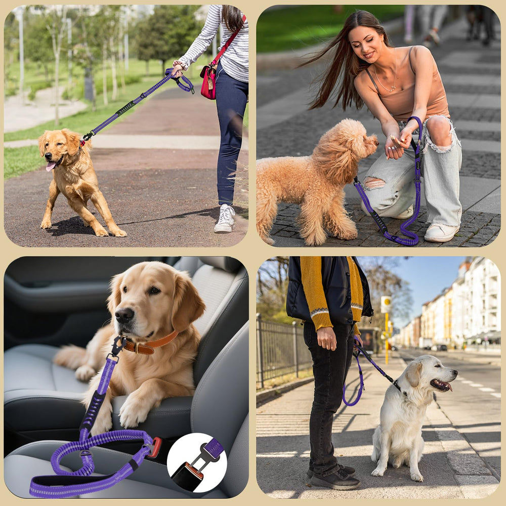 AIRUIDOG Laisse Couture Renforcée X : résistance fiable pour les chiens qui tirent.