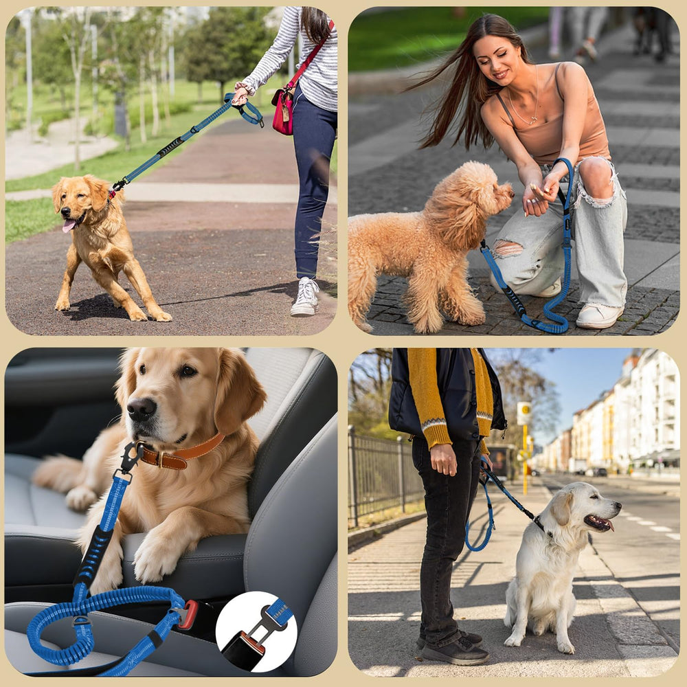 Utilisations quotidiennes AIRUIDOG: promenade urbaine et course sans tirage.