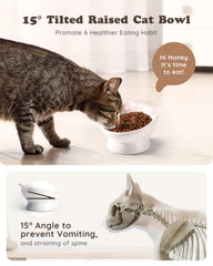 GAMELLE AISBUGUR CAPACITE 140 ml ideale pour chatons et chats adultes.