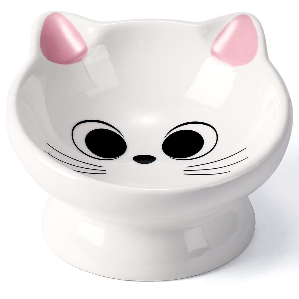 GAMELLE AISBUGUR SURLEVEE CERAMIQUE INCLINAISON 15° pour un repas plus confortable.