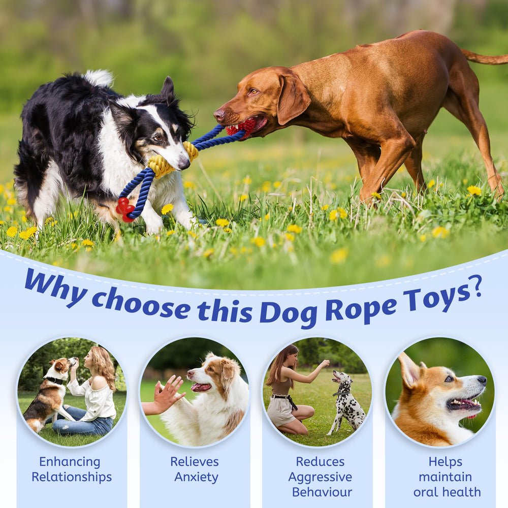 Aitmexcn - Ultra-durable: conçu pour chiens de grande taille et mâcheurs intenses