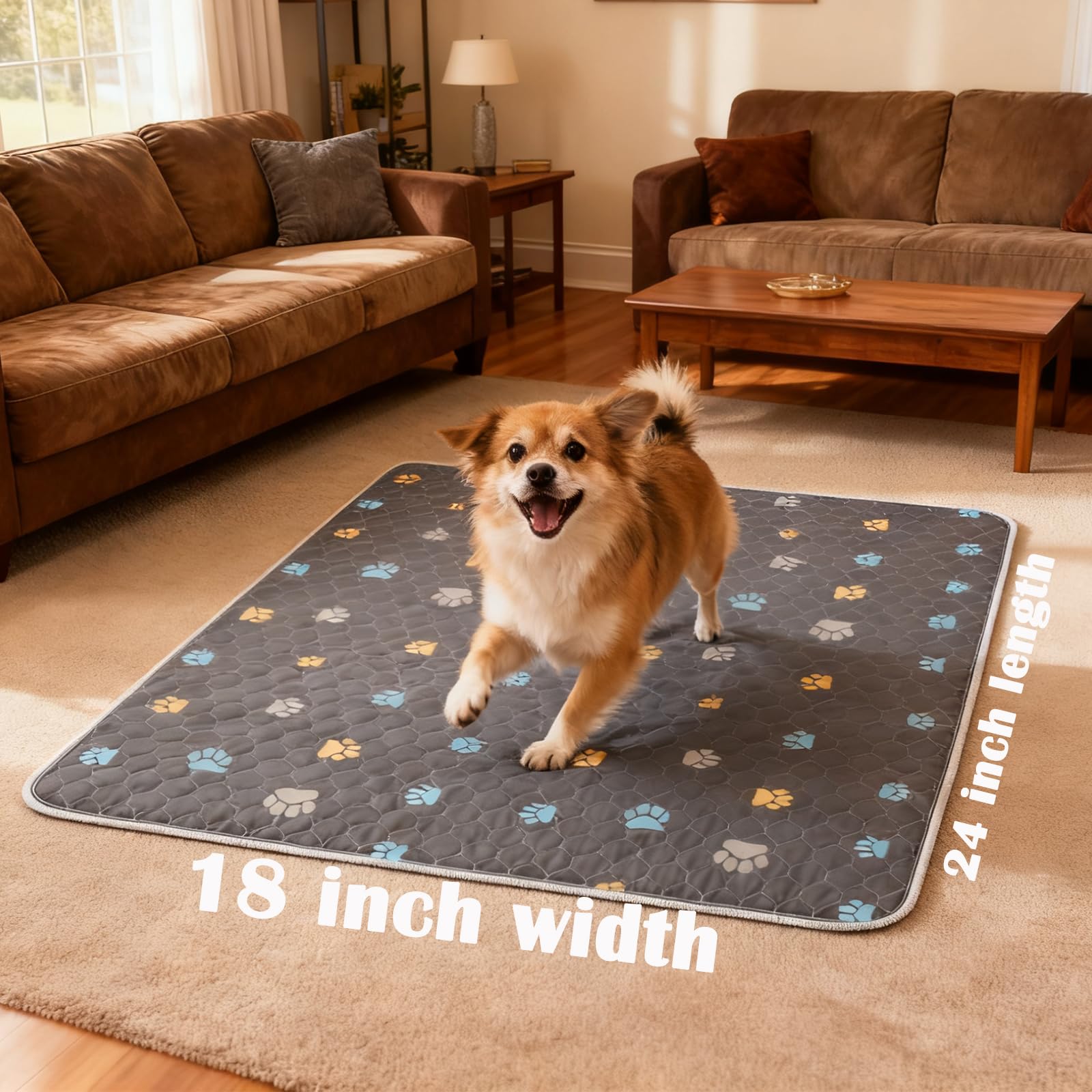 Aitmexcn tapis-pipi-chien-douceur-coton: surface douce et agréable pour les chiots.