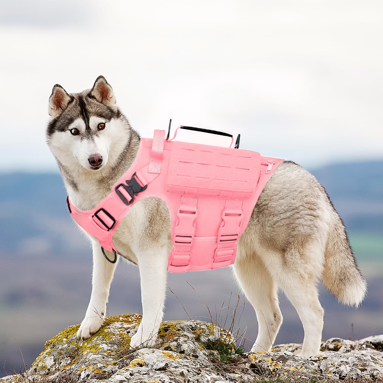 AIWAI harnais rose, détails soignés et qualité durable pour chiens actifs.
