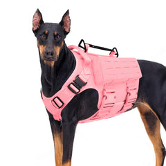 AIWAI harnais tactique chien poignee: contrôle accru en extérieur.