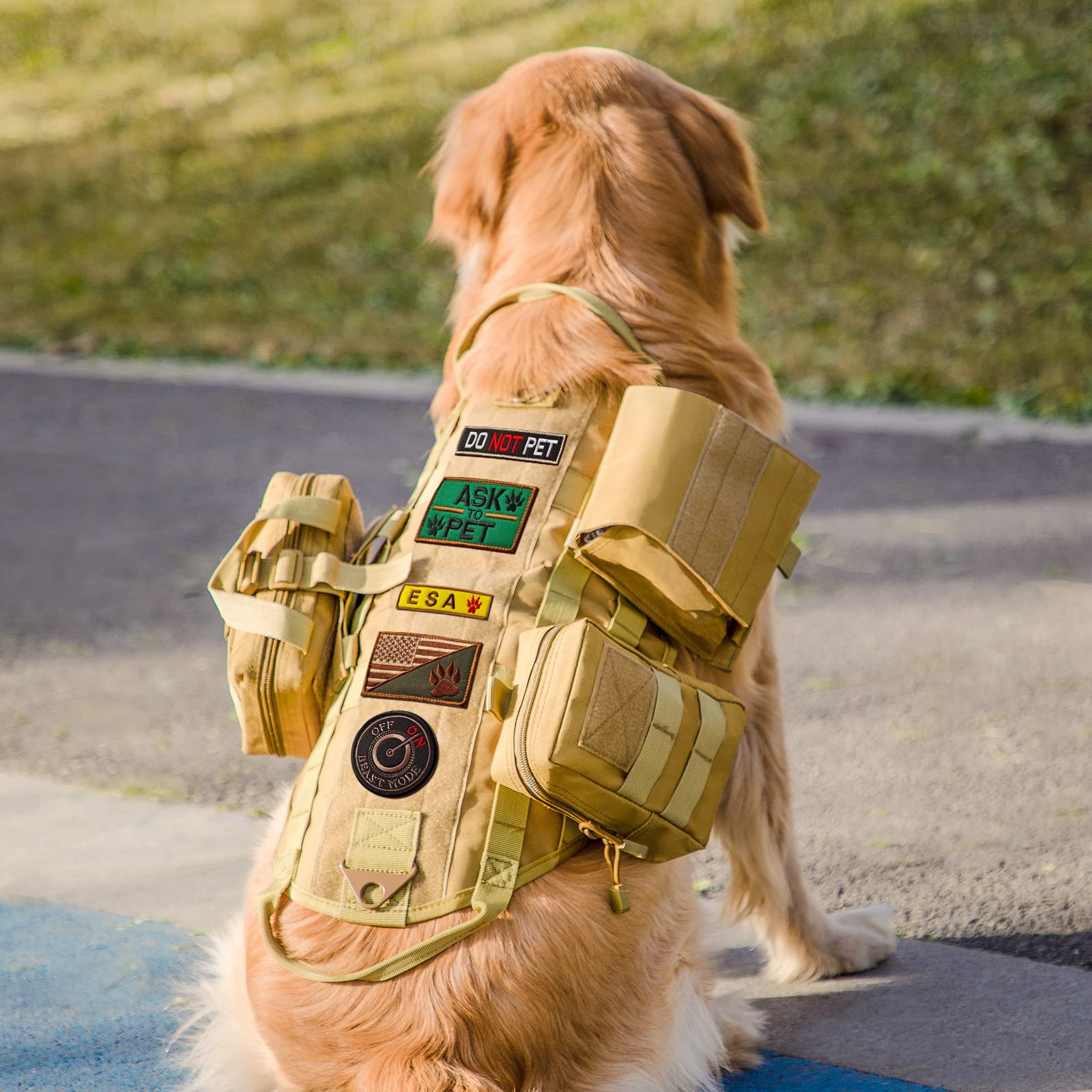 AIWAI harnais tactique chien vue-devant, confort et stabilité lors des sorties.