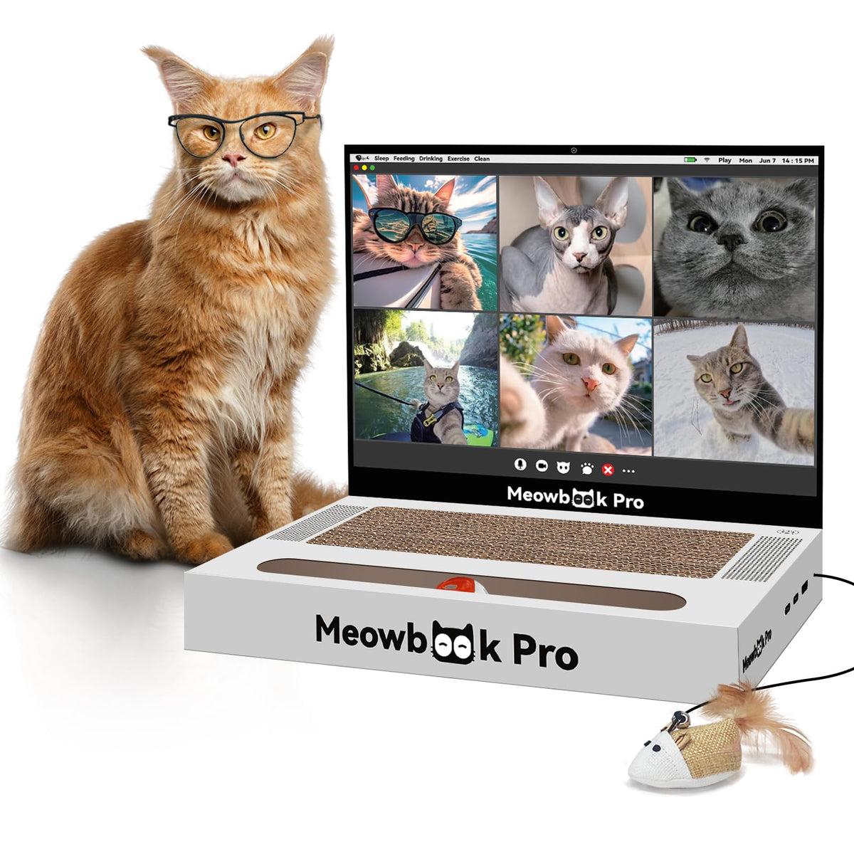AIWEILUCK ordinateur-portable Grattoir: grattage amusant pour chats curieux et joueurs.