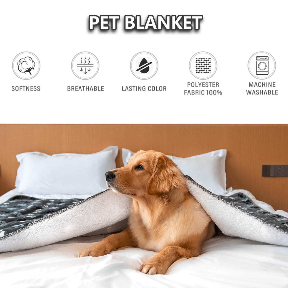AIWEK dimensions 40x30 pouces gris pratique pour chiens et chats.
