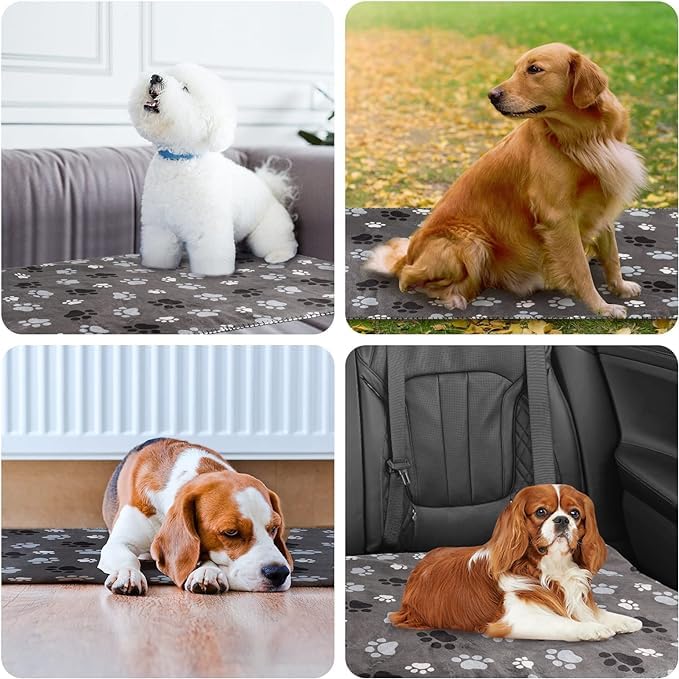 AIWEK utilisation quotidienne pour animaux domestiques, propreté et confort.