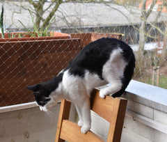 AIYGO filet-balcon-transparant permet une installation rapide et sécurisée.