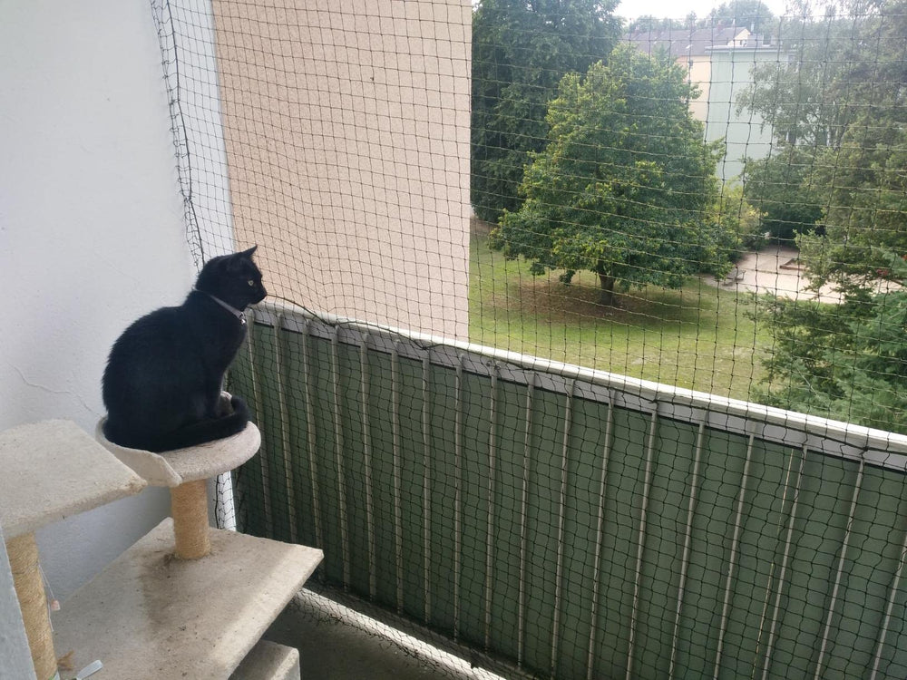 AIYGO dissuasion oiseaux chat balcon garde les oiseaux à distance sans gêner.