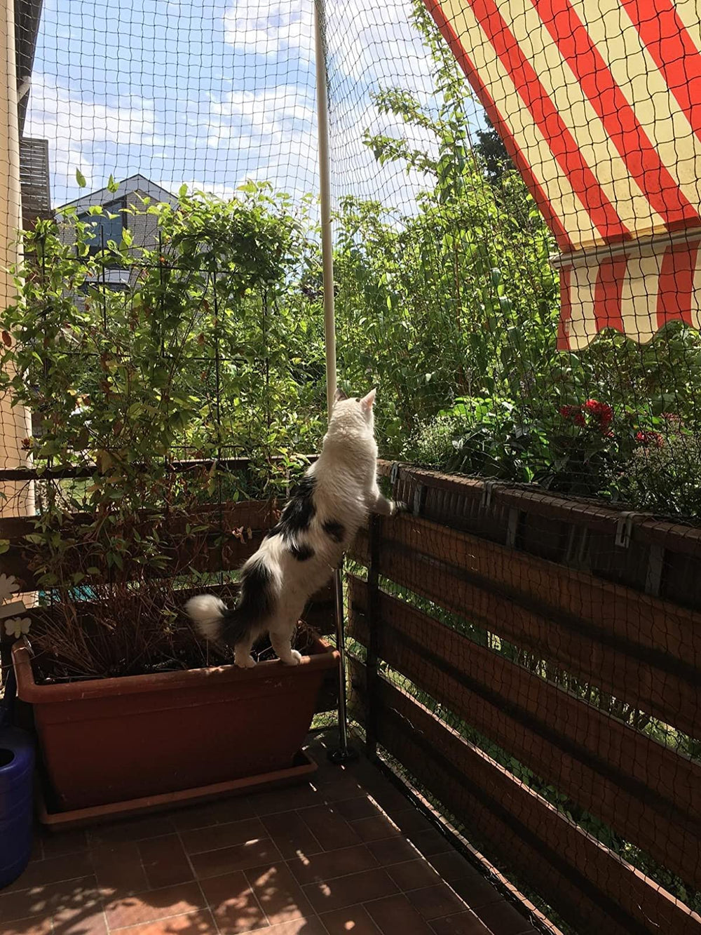 AIYGO filet-balcon-chat-noir discret alliant sécurité et esthétique.