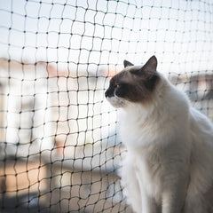 AIYGO réseau balcon chat 10m-26ft noir, protection anti-chute et vue dégagée.