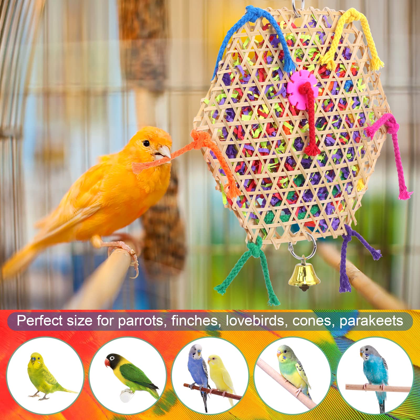 AK KYC Jouets pour cockatiel et lovebird, divertissement sûr et interactif.