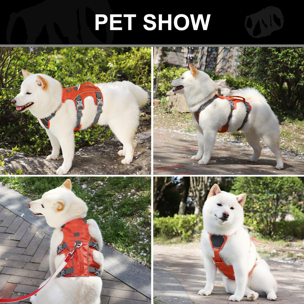 AKAILEA Harnais anti-évasion réglage poitrine, ajustement sur mesure pour chaque chien.