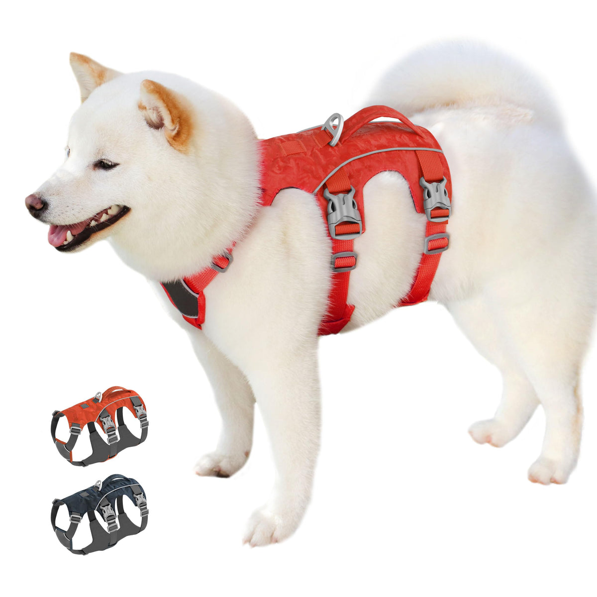 AKAILEA harnais anti-fuite pour chien – vue avant, confort et sécurité lors des promenades.