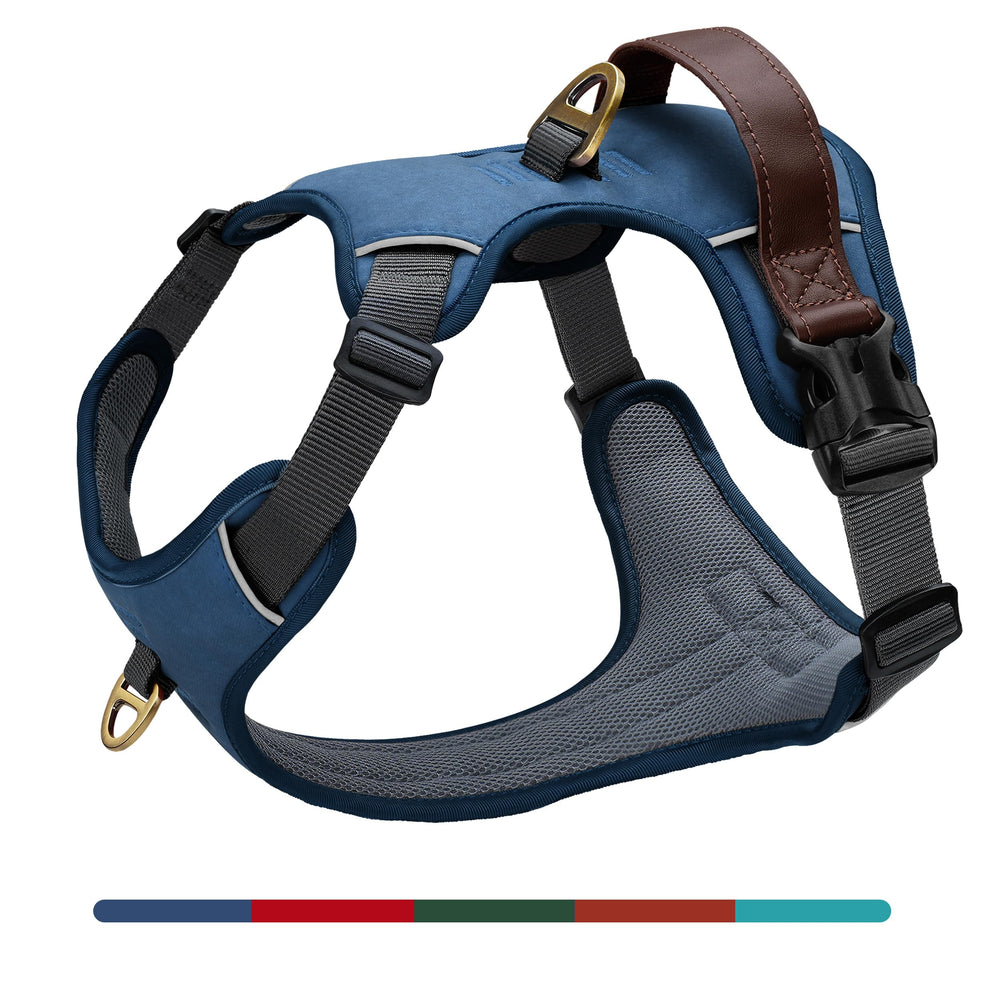 Harnais No Pull AKAILEA bleu pour chien moyen, allure et confort lors des promenades.