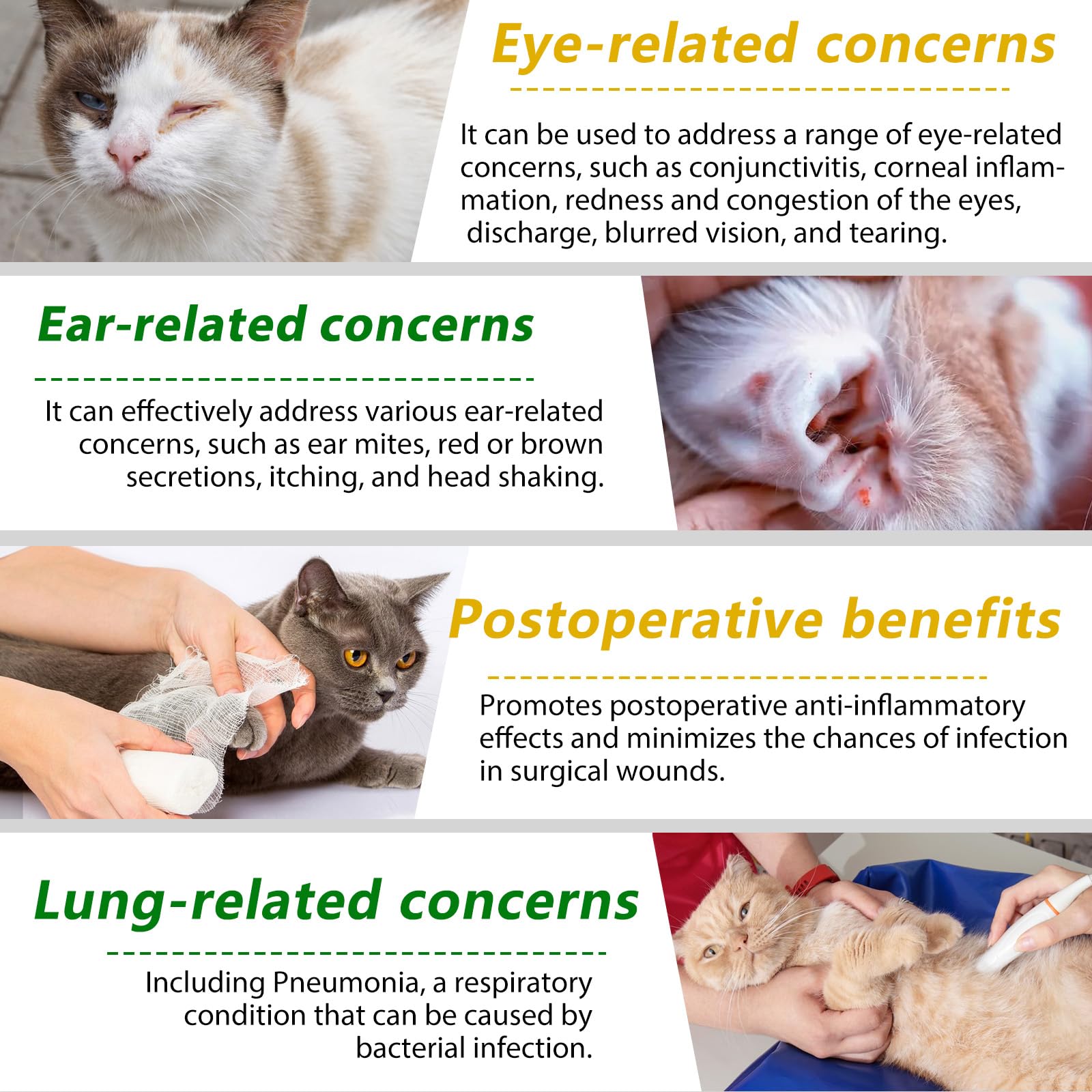 Akareni Chat - immunité et allergies, solution naturelle pour le bien‑être