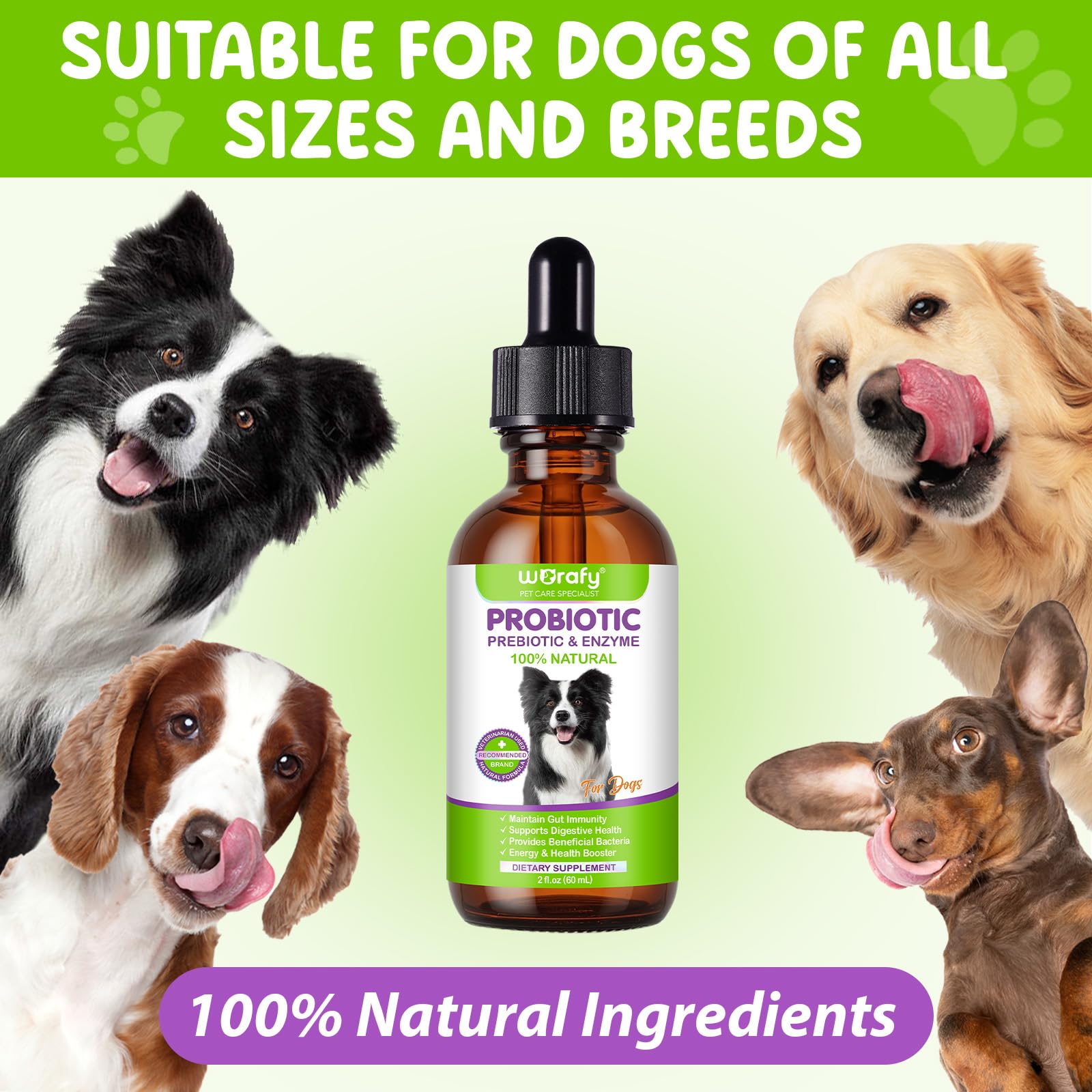 Akareni Probiotiques Liquides – Soutien immunitaire et bien-être général du chien.