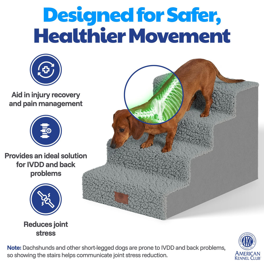 AKC Marchettes 4 Étapes utilisée par petit chien sur le lit