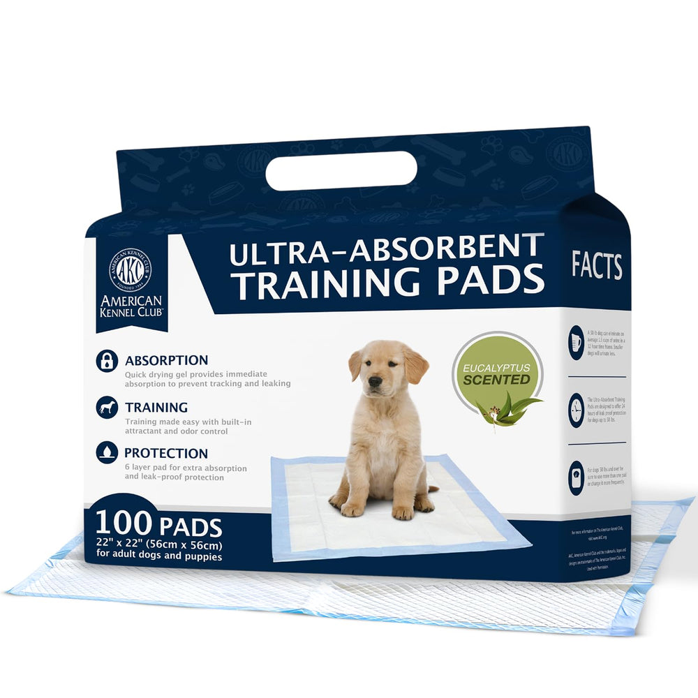 AKC Pads emballage vert : prêt à l'emploi pour démarrer l'entraînement.