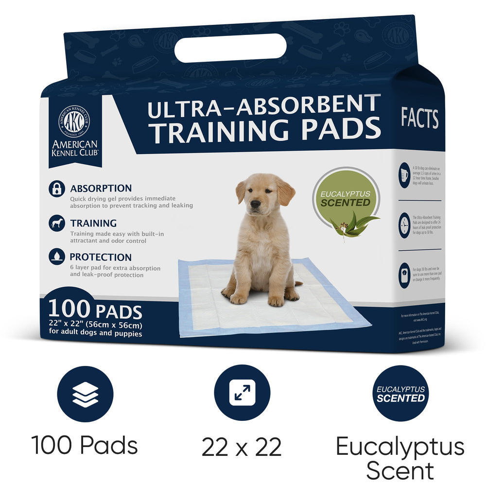 AKC Pads format 22x22 po vert : tapis spacieux pour chiots.