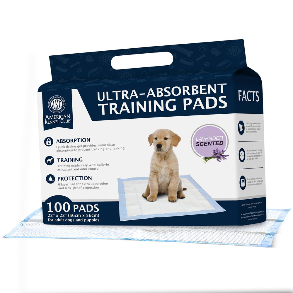 AKC tampon d'entraînement lavande anti fuite pour chiot, confort.