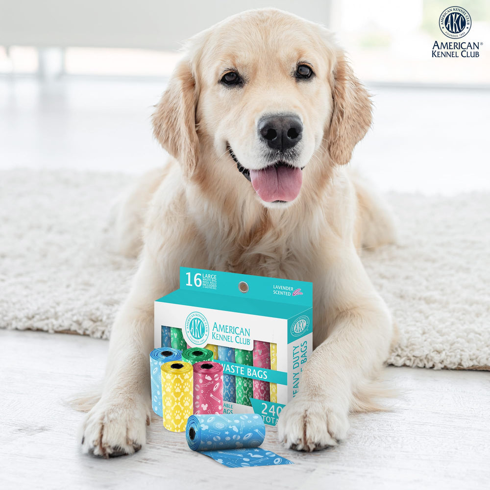 Idéal pour balades quotidiennes et sorties avec votre chien
